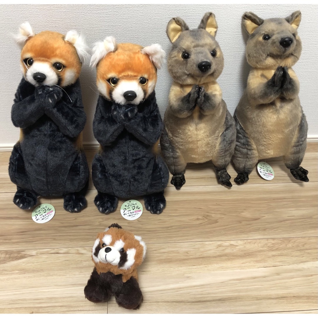 ぬいぐるみ新品・タグ付き！ レッサーパンダ & クォッカワラビー　ぬいぐるみ　５点セット