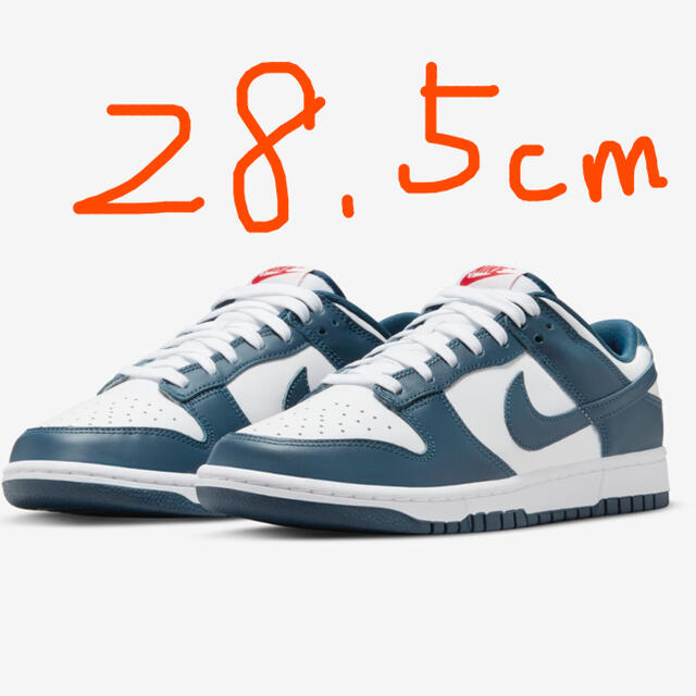 28.5ダンク LOW Valerian Blue dunk low nike