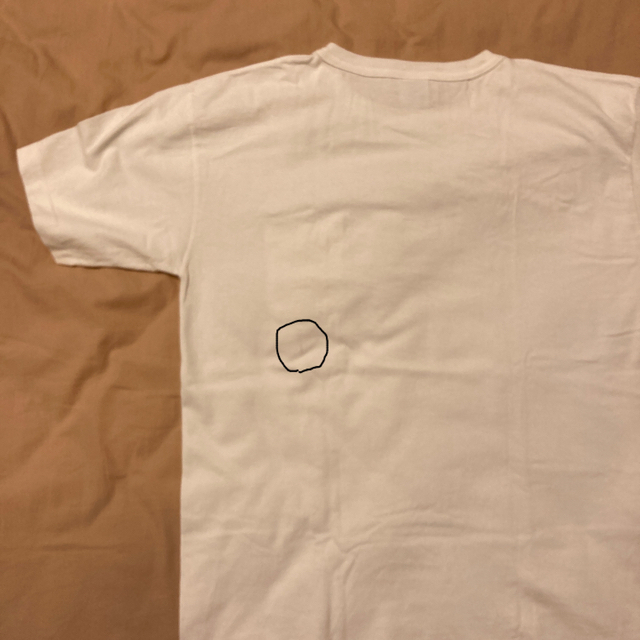 Champion(チャンピオン)の値下げ！　美品　champion　Tシャツ T1011  made in usa メンズのトップス(Tシャツ/カットソー(半袖/袖なし))の商品写真