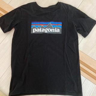 パタゴニア(patagonia)のパタゴニア　半袖Ｔシャツ　キッズ　160 XXL(Tシャツ/カットソー)