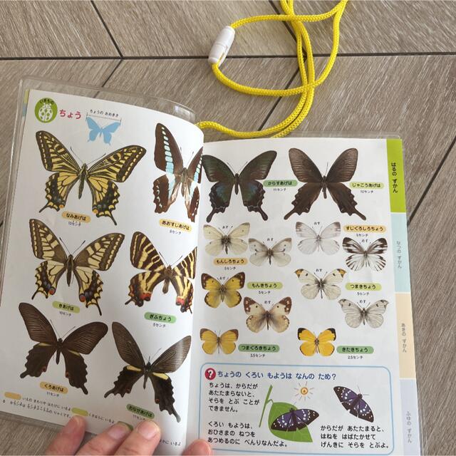 しぜんずかん エンタメ/ホビーの本(絵本/児童書)の商品写真