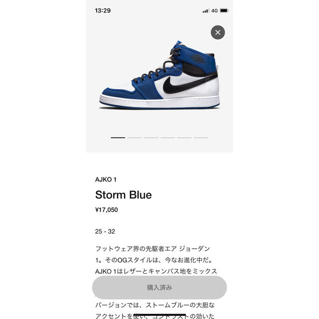 NIKE Nike 27、5 AJKO Blue Dunk High ハイカット