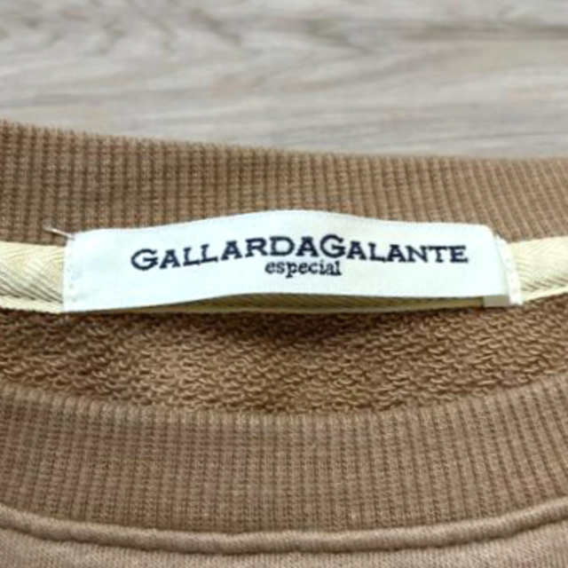 GALLARDA GALANTE(ガリャルダガランテ)のレイヤード風ドッキングシャツ　ロングシャツ　GALLARDAGALANTE レディースのトップス(シャツ/ブラウス(長袖/七分))の商品写真