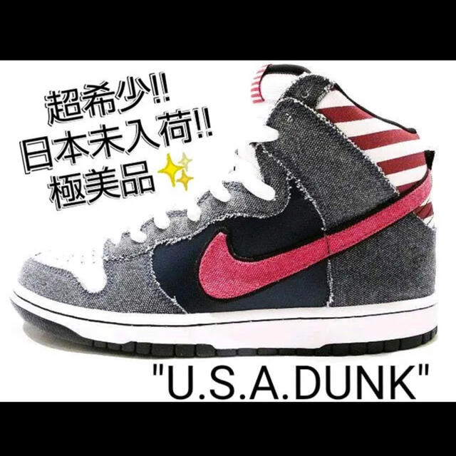 超希少 NIKE DUNK HI SB BORN IN THE USA 28.5