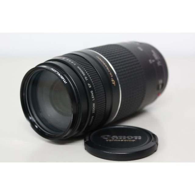 Canon - Canon/ズームレンズ/EF75-300㎜ F4-5.6 Ⅲ USM