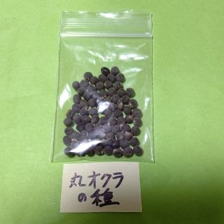 専用です。まるオクラとランタナの種＋マリーゴールドの種(その他)