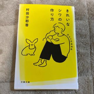 きれいなシワの作り方 淑女の思春期病(文学/小説)