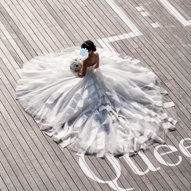 超人気高品質 Vera リーゼル verawang - Wang ウェディングドレス