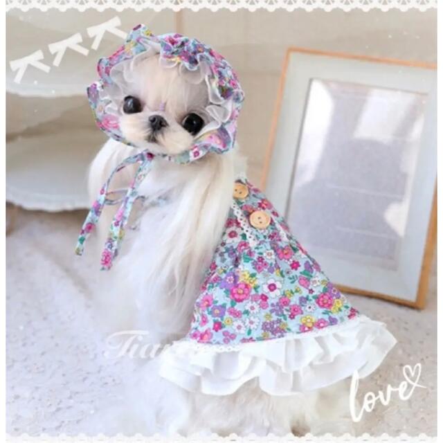 ロリーター 小花可愛いPrincessワンピース ヘッドドレス付き 犬 ロリーター 小花可愛いPrincessワンピース ヘッドドレス付き 犬