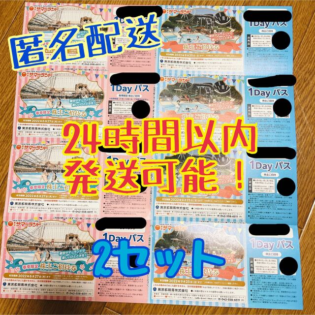 サマーランド　株主優待　3セット チケットの施設利用券(遊園地/テーマパーク)の商品写真