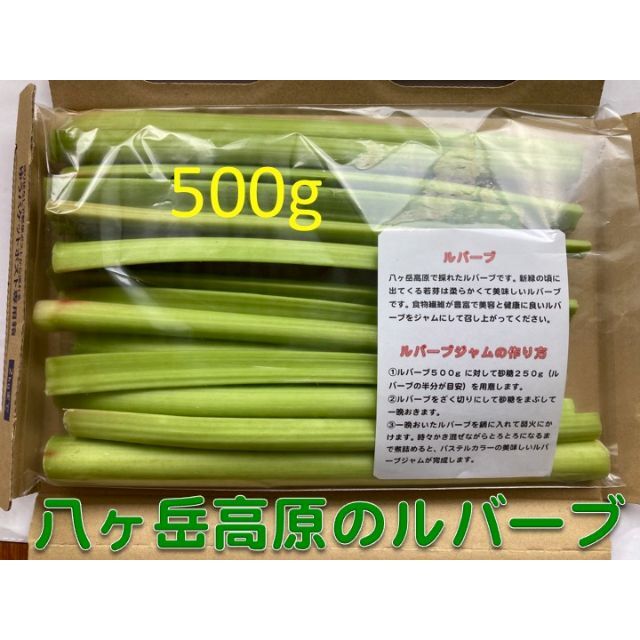 ルバーブ（緑）　５００g　　八ヶ岳高原産 食品/飲料/酒の食品(野菜)の商品写真