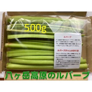 ルバーブ（緑）　５００g　　八ヶ岳高原産(野菜)