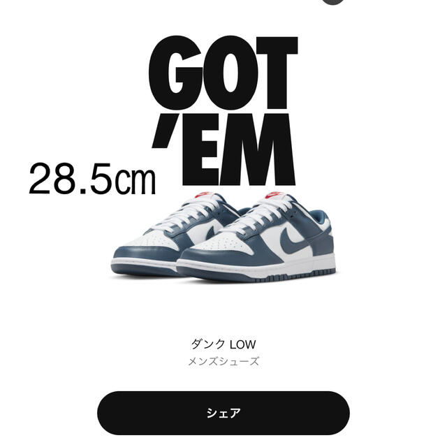 NIKE DUNK LOW VALERIAN BLUE JORDAN靴/シューズ