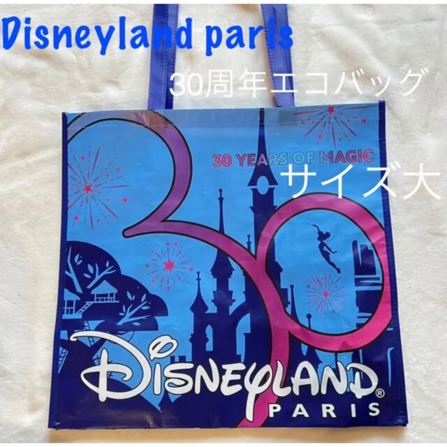 Disney(ディズニー)の新品未使用★ディズニーランド・パリエコバッグサイズ大 レディースのバッグ(エコバッグ)の商品写真