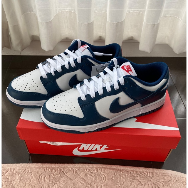 NIKE DUNK LOW VALERIAN BLUE　スニーカー