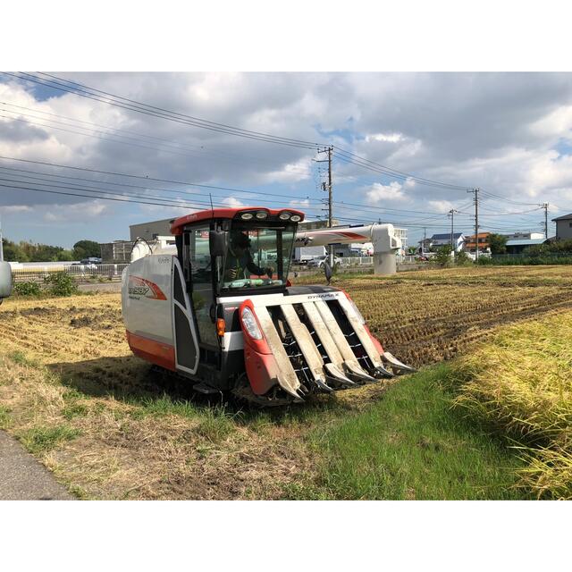 【玄米5kg】農家直送！美味しいお米！埼玉県産コシヒカリ！ 食品/飲料/酒の食品(米/穀物)の商品写真