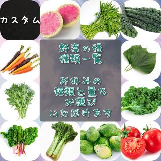 野菜の種 カスタム お好きな種類をご希望の量で(その他)