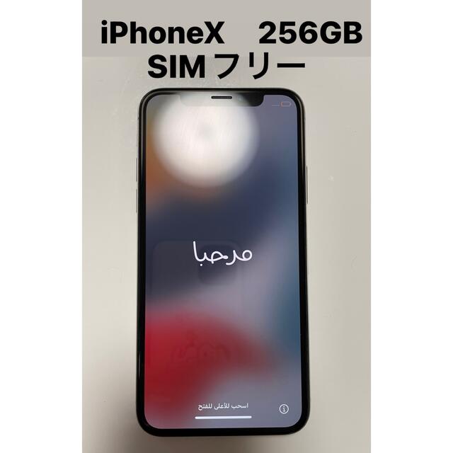 iPhoneX  256GB