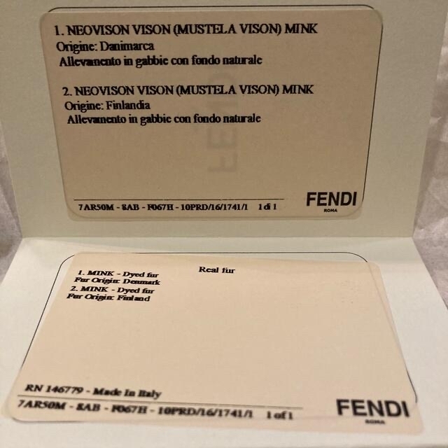 FENDI(フェンディ)のFENDI ipone6ケース スマホ/家電/カメラのスマホアクセサリー(iPhoneケース)の商品写真