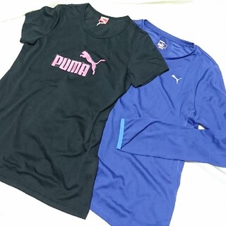 プーマ(PUMA)のPUMA Tシャツ ロンT 速乾 トレーニングウェア 2枚セット プーマ(ウェア)
