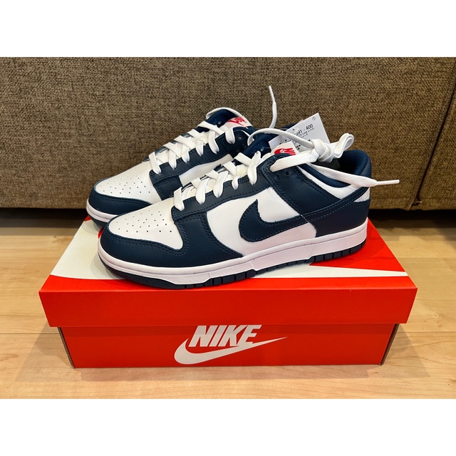 Nike Dunk Low Valerian Blue 25cm