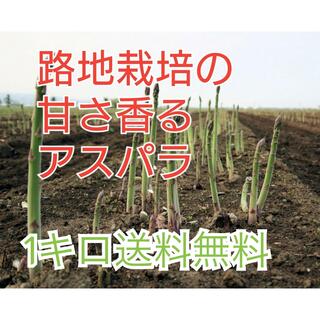 （送料無料）路地栽培。会津坂下町産曲がりアスパラ1キロ(野菜)