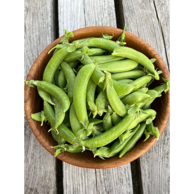 スナップエンドウ　無農薬 食品/飲料/酒の食品(野菜)の商品写真