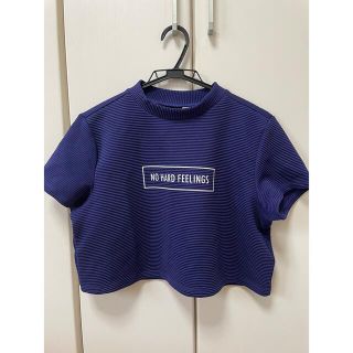 エイチアンドエム(H&M)の【送料込み】H&M 半袖トップス ブルー Lサイズ(カットソー(半袖/袖なし))