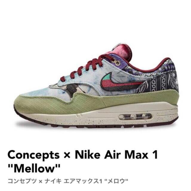Concepts × Nike Air Max 1 "Mellow"