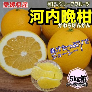 愛媛産【農家直送】☆河内晩柑(宇和ゴールド)☆ 5ｷﾛ箱(フルーツ)