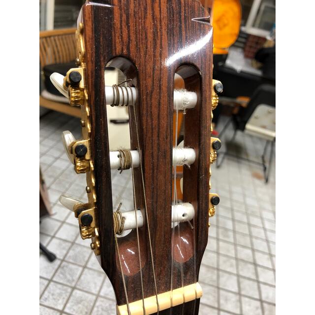 初心者、中級者必見!本場スペイン産レイモンド118Cギター 早割