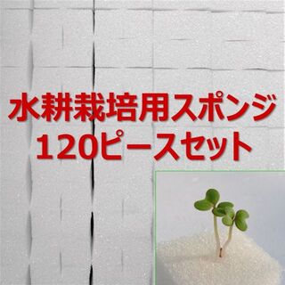 季節到来 水耕栽培 十字切れ目入りスポンジ(2.5×2.5cm) 120株分(プランター)