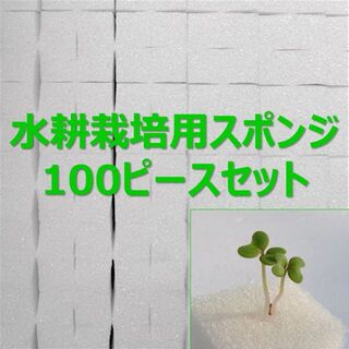 無農薬 水耕栽培 十字切れ目入りスポンジ(2.5×2.5cm) 100株分(プランター)