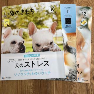 ベネッセ(Benesse)のいぬのきもち　2021 10月号、11月号、12月号(犬)