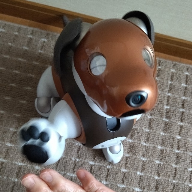 SONY aibo ERS-1000 チョコエディション | フリマアプリ ラクマ