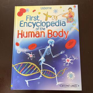 洋書中古First Encyclopedia of the Human Body(洋書)