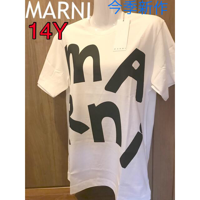 MARNI 両面ロゴ Tシャツ 新品未使用 タグ付き 14Y | kensysgas.com