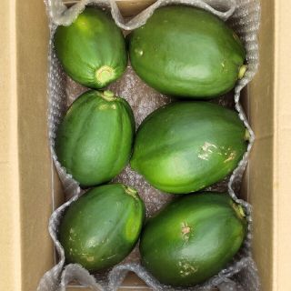 自然のままのパパイヤ(徳之島産)(野菜)