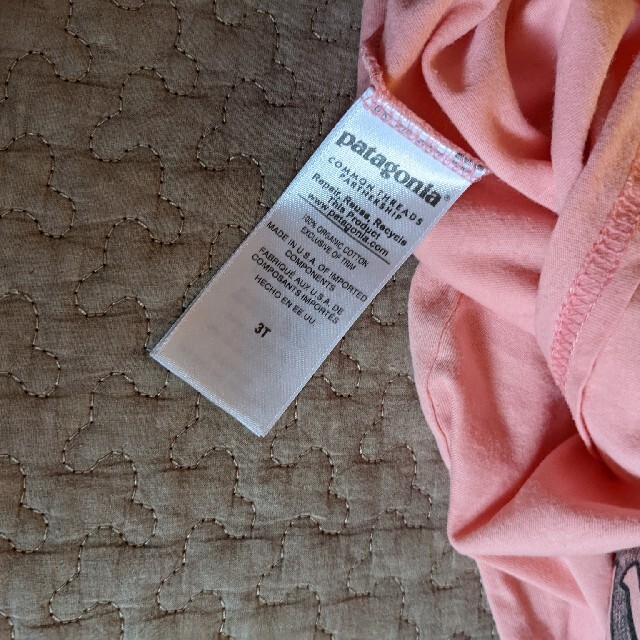 patagonia(パタゴニア)のPatagonia パタゴニア Tシャツ 3T 100 キッズ/ベビー/マタニティのキッズ服男の子用(90cm~)(Tシャツ/カットソー)の商品写真