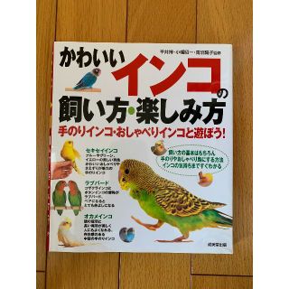 かわいいインコの飼い方・楽しみ方 手のりインコ・おしゃべりインコと遊ぼう!(趣味/スポーツ/実用)