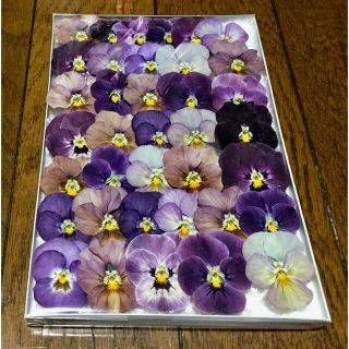 100円お値引き‼️ ①  銀の紫陽花初夏のドライフラワー祭り‼️(ドライフラワー)