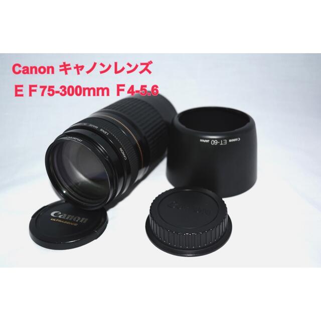 ⭐️美品　Canon キヤノン レンズ ＥＦ75-300ｍｍ Ｆ4-5.6⭐️