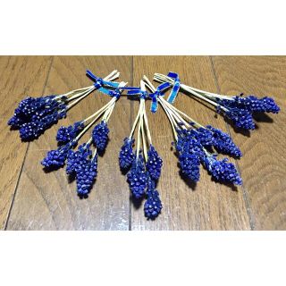 銀の紫陽花が作った青く美しいムスカリのドライフラワー30本です‼️(ドライフラワー)