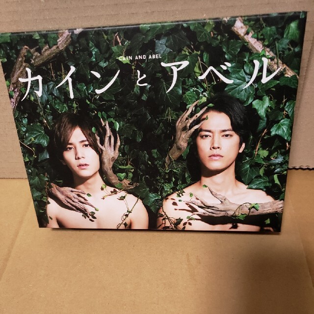 カインとアベル DVD-BOX 山田涼介　桐谷健太