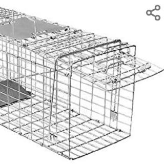 小動物捕獲器Mサイズ(かご/ケージ)