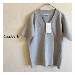 フィフス(fifth)のらるま様★【新品未使用】CEDNIE グレー　半袖ニット　fifth(カットソー(半袖/袖なし))