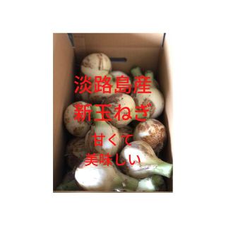 淡路島新玉ねぎ5キロ秀品(野菜)