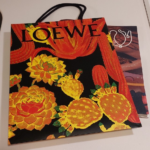 LOEWE(ロエベ)のLOEWE　ショップ袋　紙袋　冊子 レディースのバッグ(ショップ袋)の商品写真