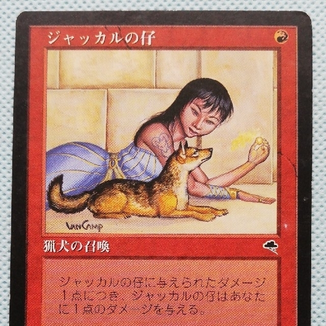 マジック：ザ・ギャザリング - 高騰中!!【MTG】テンペスト版・(日本語