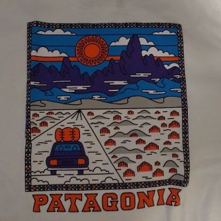 パタゴニア(patagonia)の【長袖 L】☆新品・未使用☆ patagonia パタゴニア ロンT(Tシャツ/カットソー(七分/長袖))